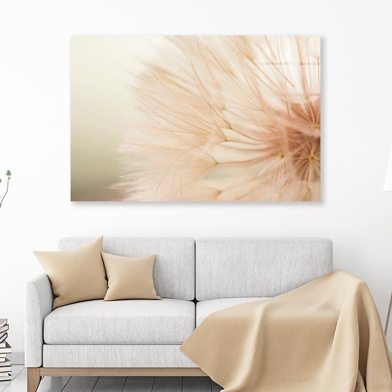 Close Up of a Dandelion with A Blurry Acrylic Glass Print Tempered Glass Wall Art 100% Made in Australia Ready to Hang