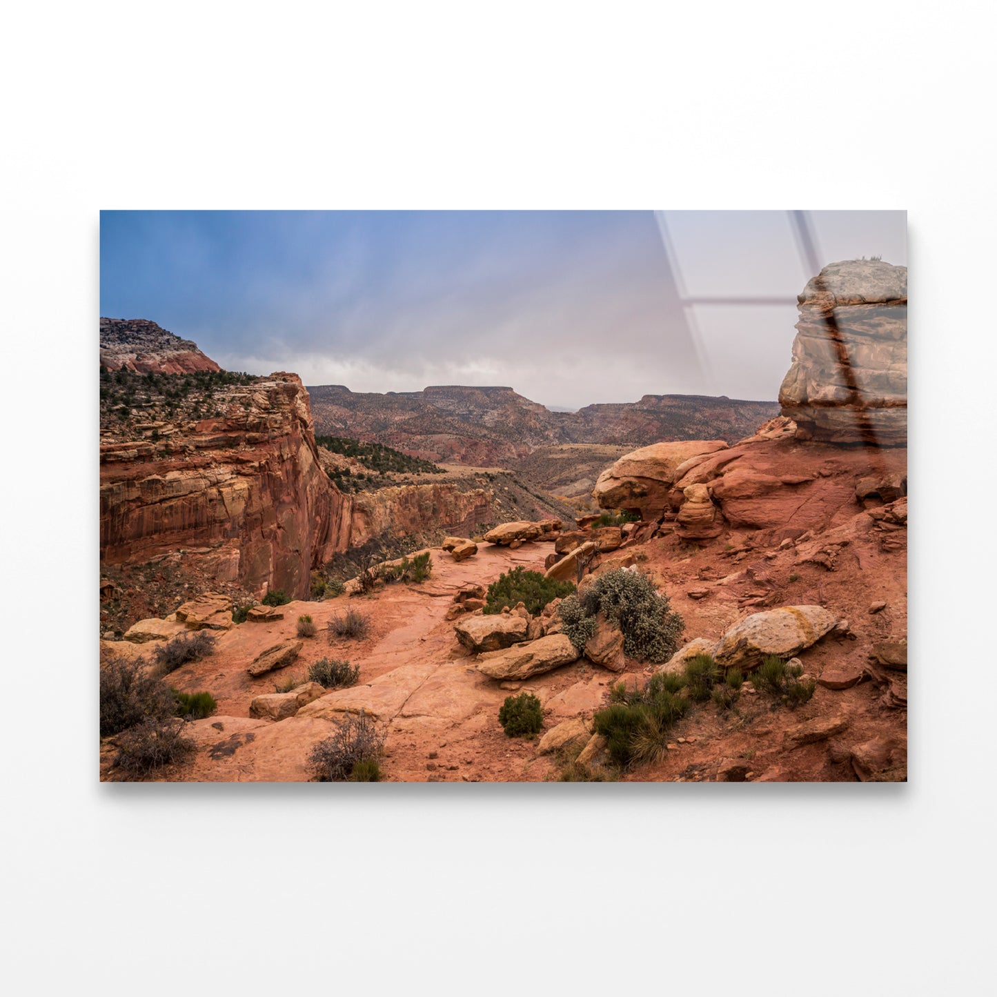 View of Rocks and Bushes with Mountains Acrylic Glass Print Tempered Glass Wall Art 100% Made in Australia Ready to Hang