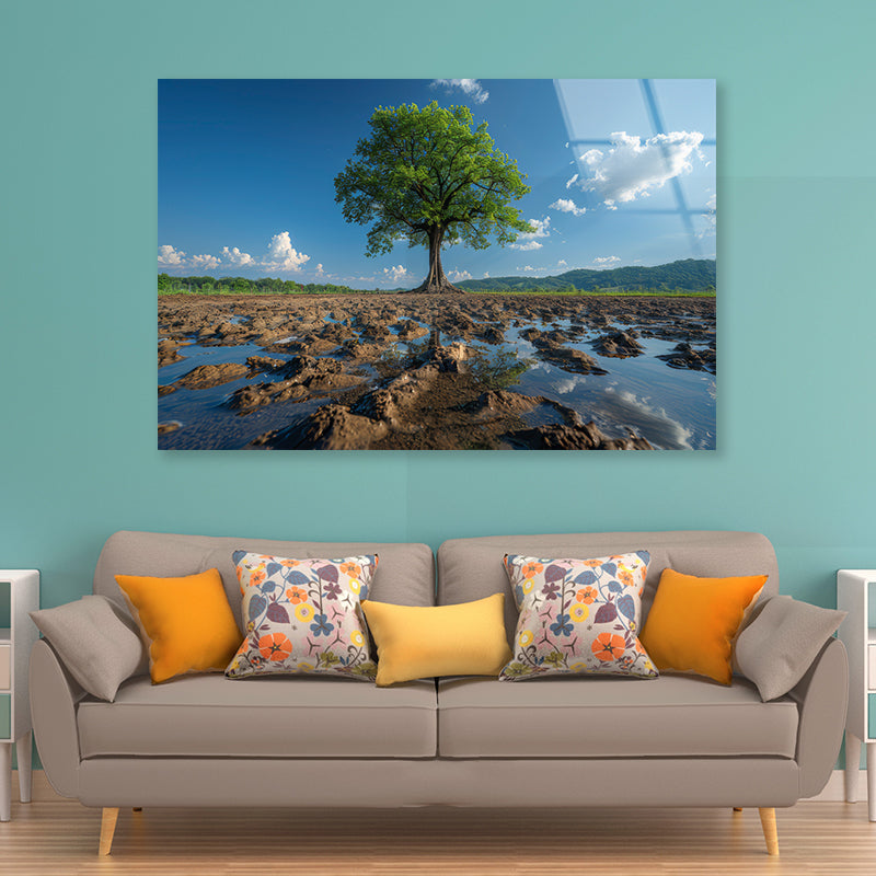 A Tree Is Standing In a Field Acrylic Glass Print Tempered Glass Wall Art 100% Made in Australia Ready to Hang - Bella Home Decor