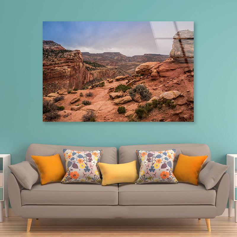 View of Rocks and Bushes with Mountains Acrylic Glass Print Tempered Glass Wall Art 100% Made in Australia Ready to Hang