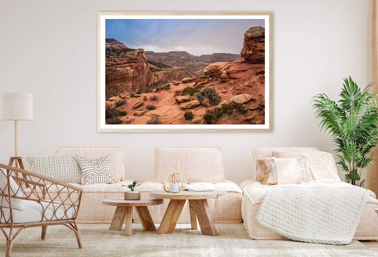 View of Rocks and Bushes with Mountains Home Decor Premium Quality Poster Print Choose Your Sizes