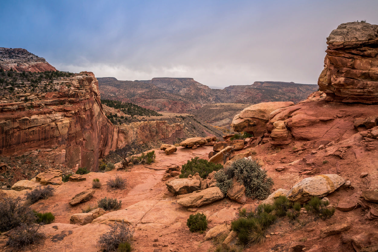 View of Rocks and Bushes with Mountains Home Decor Premium Quality Poster Print Choose Your Sizes