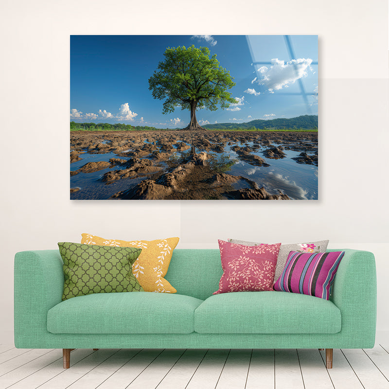 A Tree Is Standing In a Field Acrylic Glass Print Tempered Glass Wall Art 100% Made in Australia Ready to Hang - Bella Home Decor