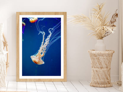 Jellyfish Underwater Closeup View Photograph Glass Framed Wall Art, Ready to Hang Quality Print With White Border Oak