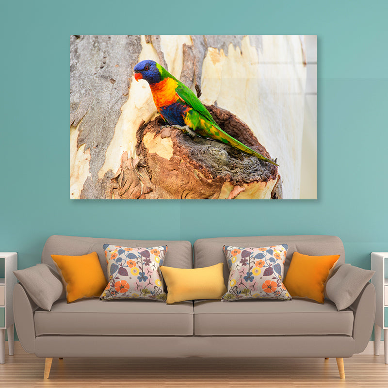 Rainbow Lorikeet Bird on Tree Acrylic Glass Print Tempered Glass Wall Art 100% Made in Australia Ready to Hang - Bella Home Decor