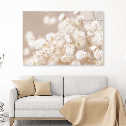 Dry Little White Flowers Acrylic Glass Print Tempered Glass Wall Art 100% Made in Australia Ready to Hang