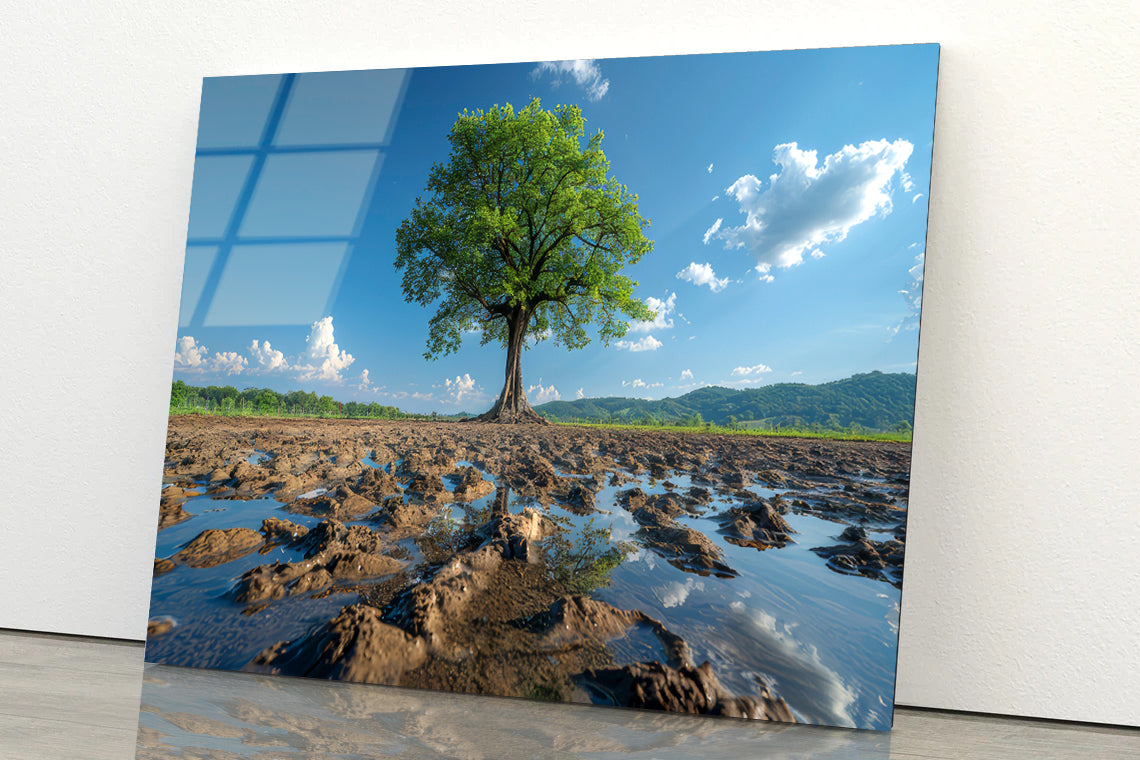 A Tree Is Standing In a Field Acrylic Glass Print Tempered Glass Wall Art 100% Made in Australia Ready to Hang - Bella Home Decor