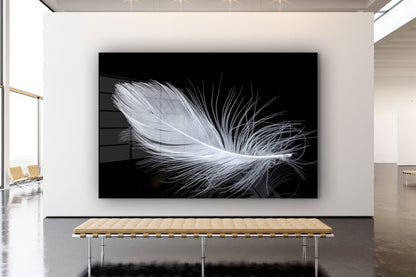 White Feather View UV Direct Aluminum Print Australian Made Quality