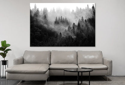 Trees In Mist Black And White Forest 90x60cm Print 100% Australian Made