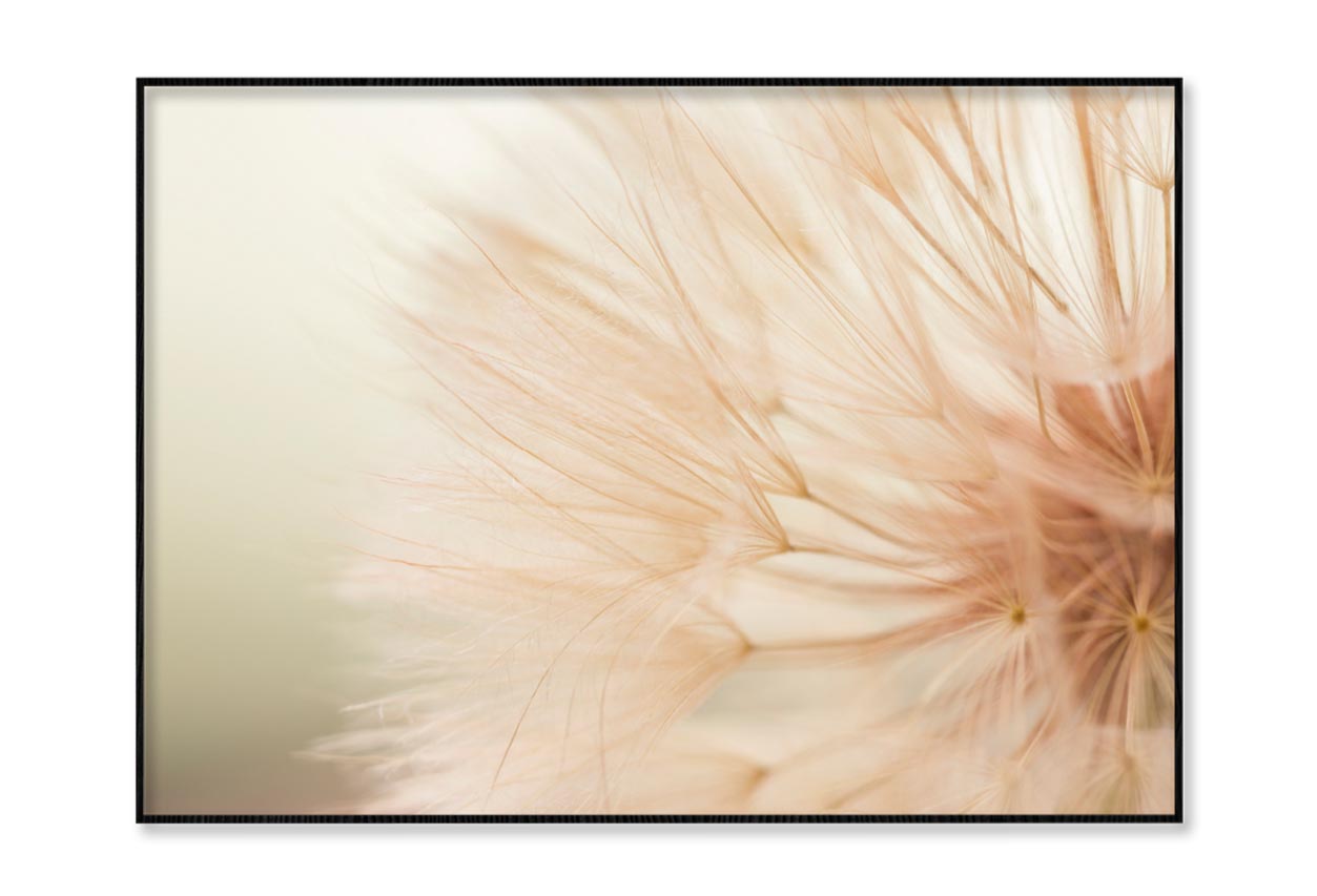 Close Up of a Dandelion with A Blurry Home Decor Premium Quality Poster Print Choose Your Sizes