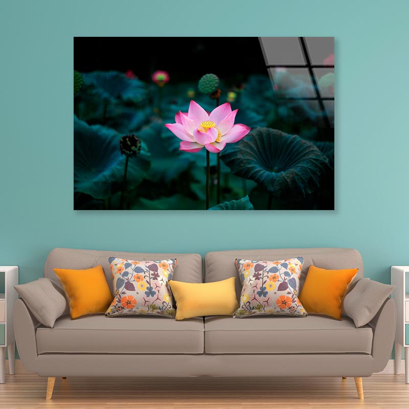 Pink Flower In a Field of Green Leaves Acrylic Glass Print Tempered Glass Wall Art 100% Made in Australia Ready to Hang