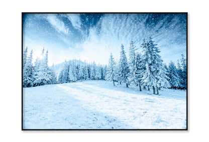 Winter Tree In Snow Home Decor Premium Quality Poster Print Choose Your Sizes