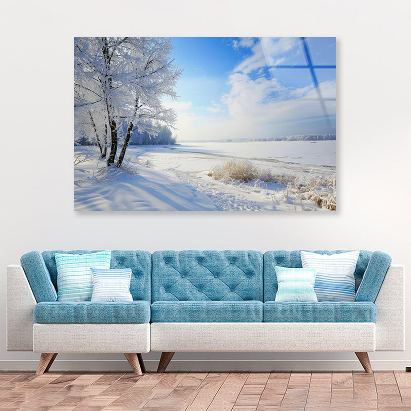 Snowy Field with Trees under a Sky Acrylic Glass Print Tempered Glass Wall Art 100% Made in Australia Ready to Hang - Bella Home Decor