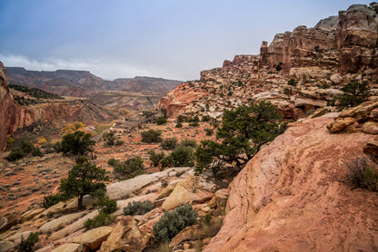 A Rocky Canyon with Trees & A Cloudy Sky Home Decor Premium Quality Poster Print Choose Your Sizes