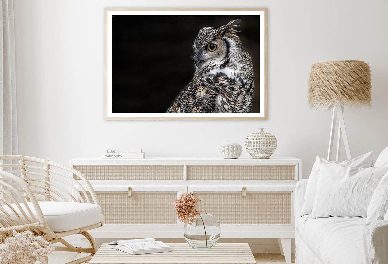 Great Horned Owl Dark Background Home Decor Premium Quality Poster Print Choose Your Sizes