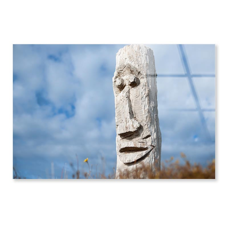 Driftwood Totem on Dunes at Ohope, Bay Off Plenty, New Zealand Acrylic Glass Print Tempered Glass Wall Art 100% Made in Australia Ready to Hang - Bella Home Decor