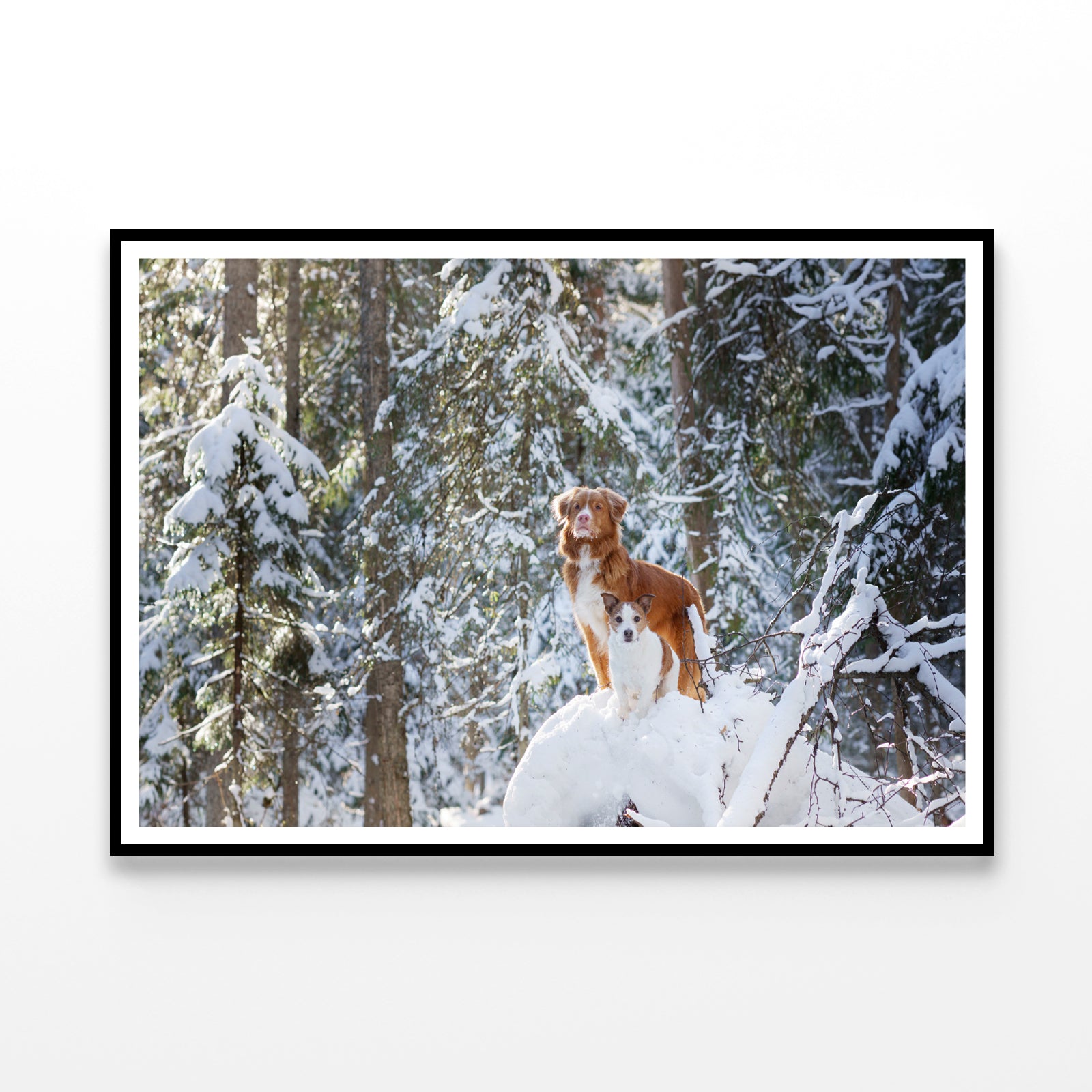 A Fox Standing On the Snow in a Winter Forest Home Decor Premium Quality Poster Print Choose Your Sizes - Bella Home Decor