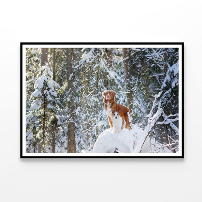 A Fox Standing On the Snow in a Winter Forest Home Decor Premium Quality Poster Print Choose Your Sizes - Bella Home Decor