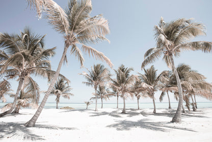 Sand Beach & Palm Trees Blue Sky Faded Photograph Glass Framed Wall Art, Ready to Hang Quality Print