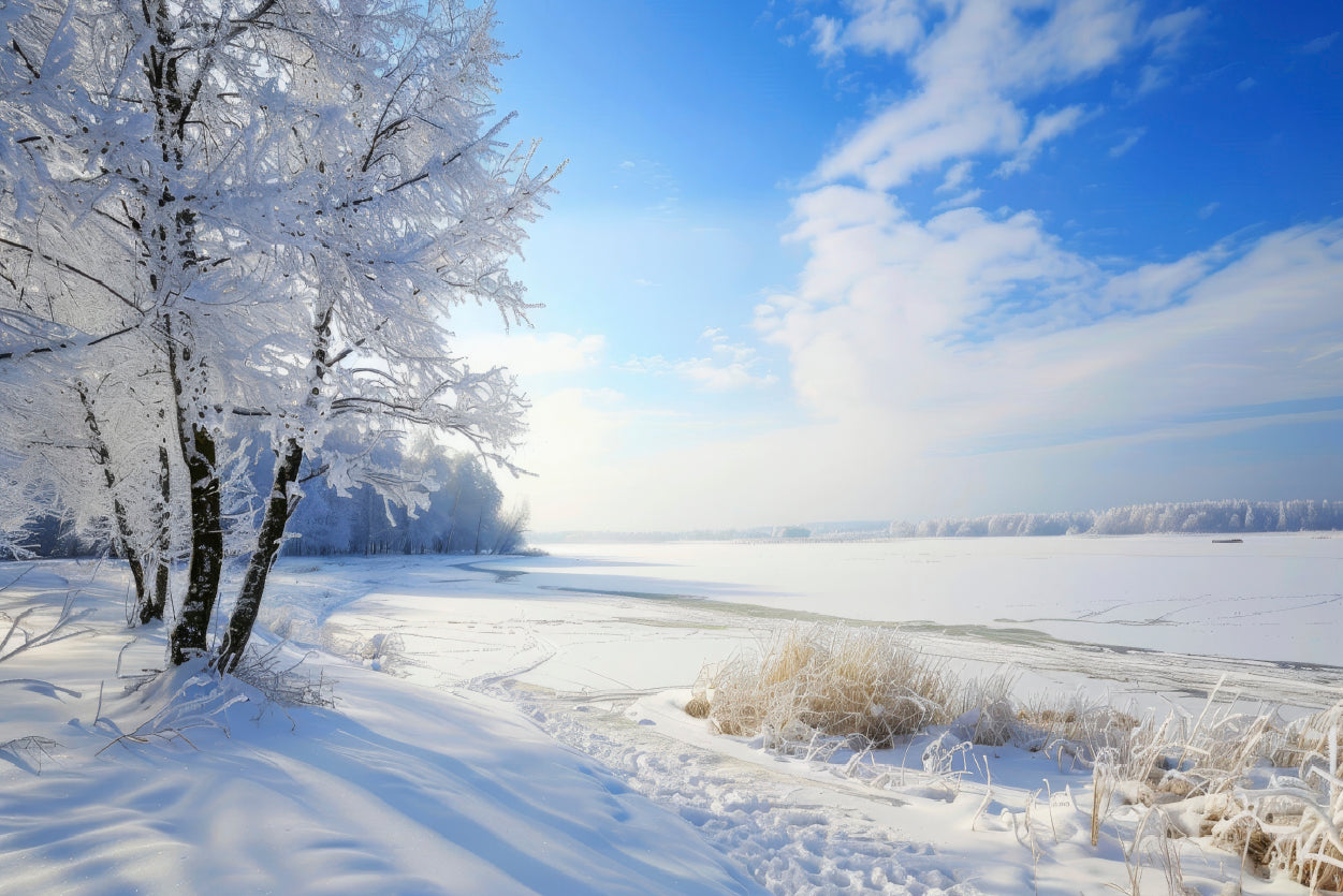 Snowy Field with Trees under a Sky Home Decor Premium Quality Poster Print Choose Your Sizes - Bella Home Decor