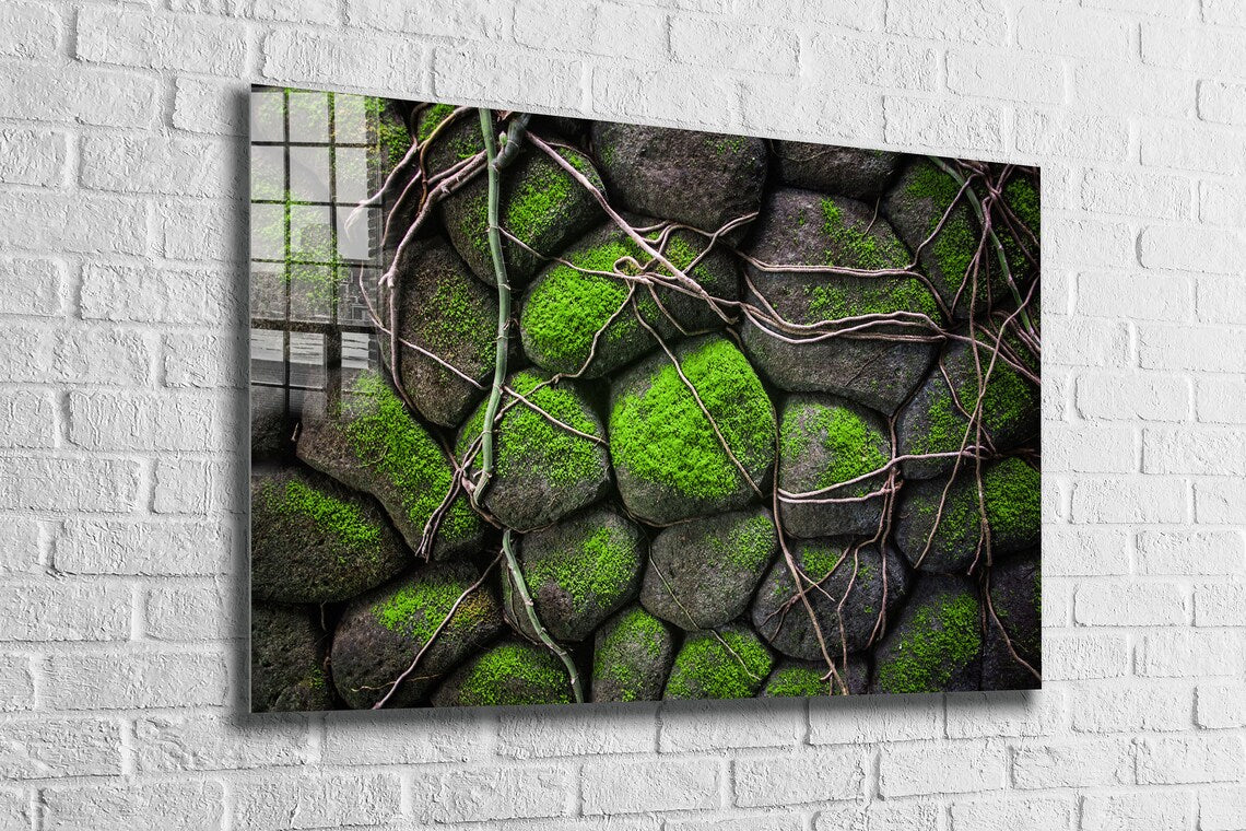 Rocks in the Moss UV Direct Aluminum Print Australian Made Quality