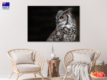 Great Horned Owl Dark Background Print 100% Australian Made