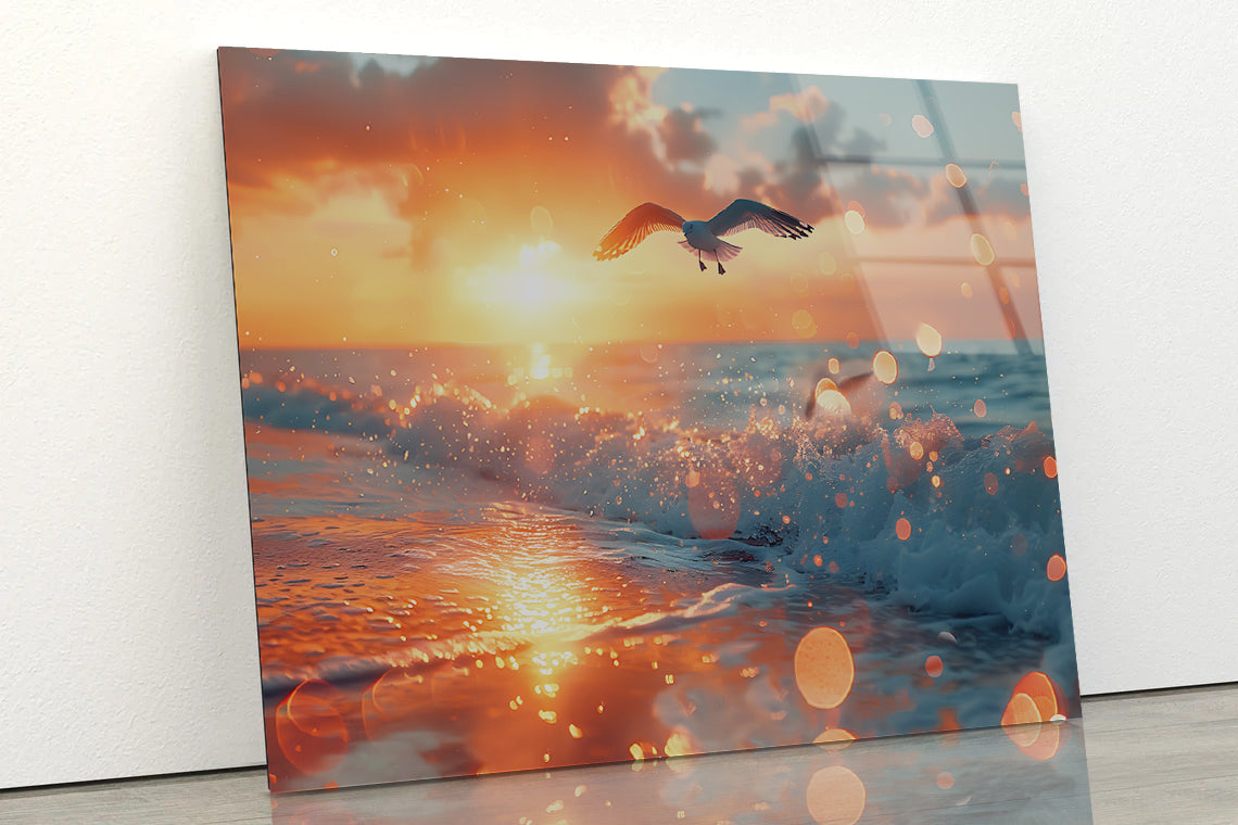 Bird Flying Over a Beach Acrylic Glass Print Tempered Glass Wall Art 100% Made in Australia Ready to Hang - Bella Home Decor