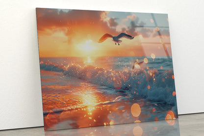 Bird Flying Over a Beach Acrylic Glass Print Tempered Glass Wall Art 100% Made in Australia Ready to Hang - Bella Home Decor