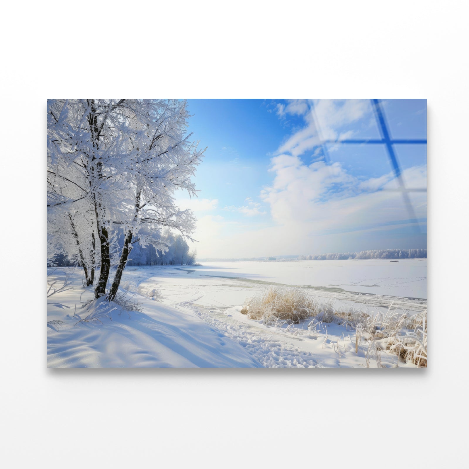 Snowy Field with Trees under a Sky Acrylic Glass Print Tempered Glass Wall Art 100% Made in Australia Ready to Hang - Bella Home Decor
