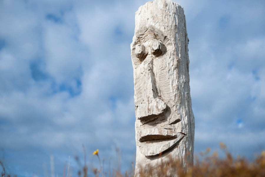 Driftwood Totem on Dunes at Ohope, Bay Off Plenty, New Zealand Wall Art Decor 100% Australian Made - Bella Home Decor