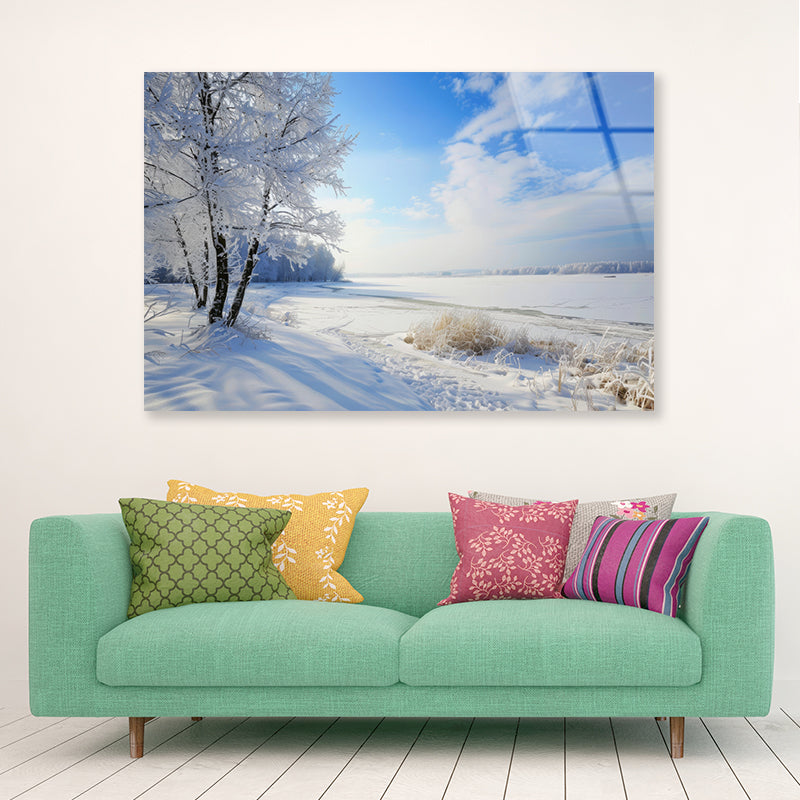 Snowy Field with Trees under a Sky Acrylic Glass Print Tempered Glass Wall Art 100% Made in Australia Ready to Hang - Bella Home Decor