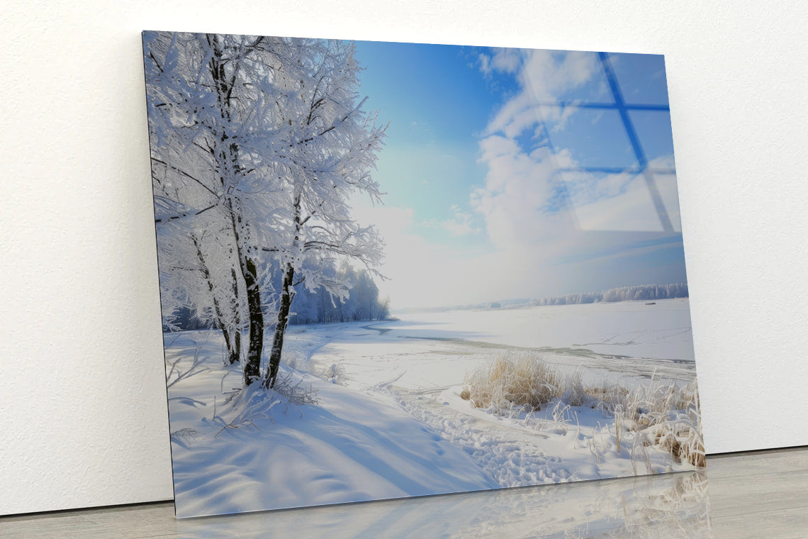 Snowy Field with Trees under a Sky Acrylic Glass Print Tempered Glass Wall Art 100% Made in Australia Ready to Hang - Bella Home Decor