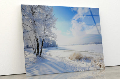 Snowy Field with Trees under a Sky Acrylic Glass Print Tempered Glass Wall Art 100% Made in Australia Ready to Hang - Bella Home Decor