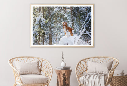 A Fox Standing On the Snow in a Winter Forest Home Decor Premium Quality Poster Print Choose Your Sizes - Bella Home Decor