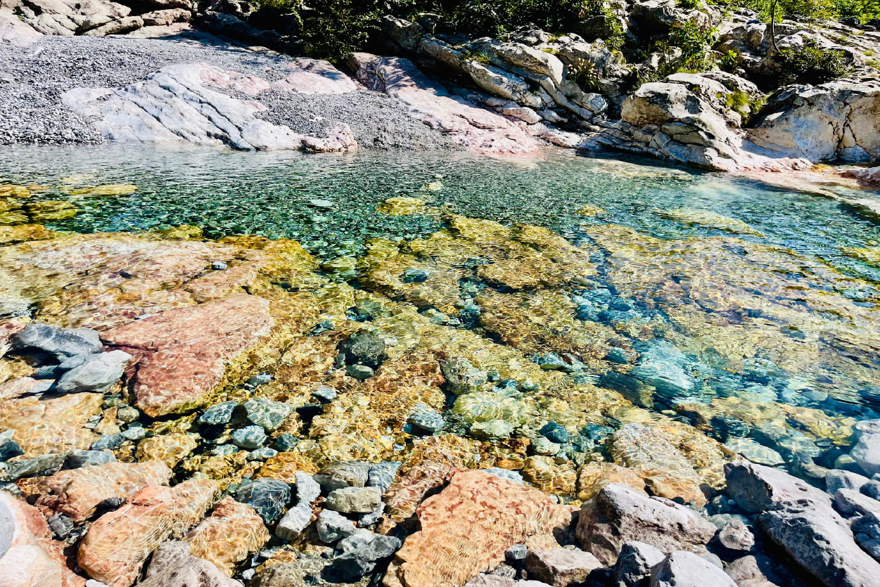 A Rocky Area with Water, Rocks and Plants Home Decor Premium Quality Poster Print Choose Your Sizes