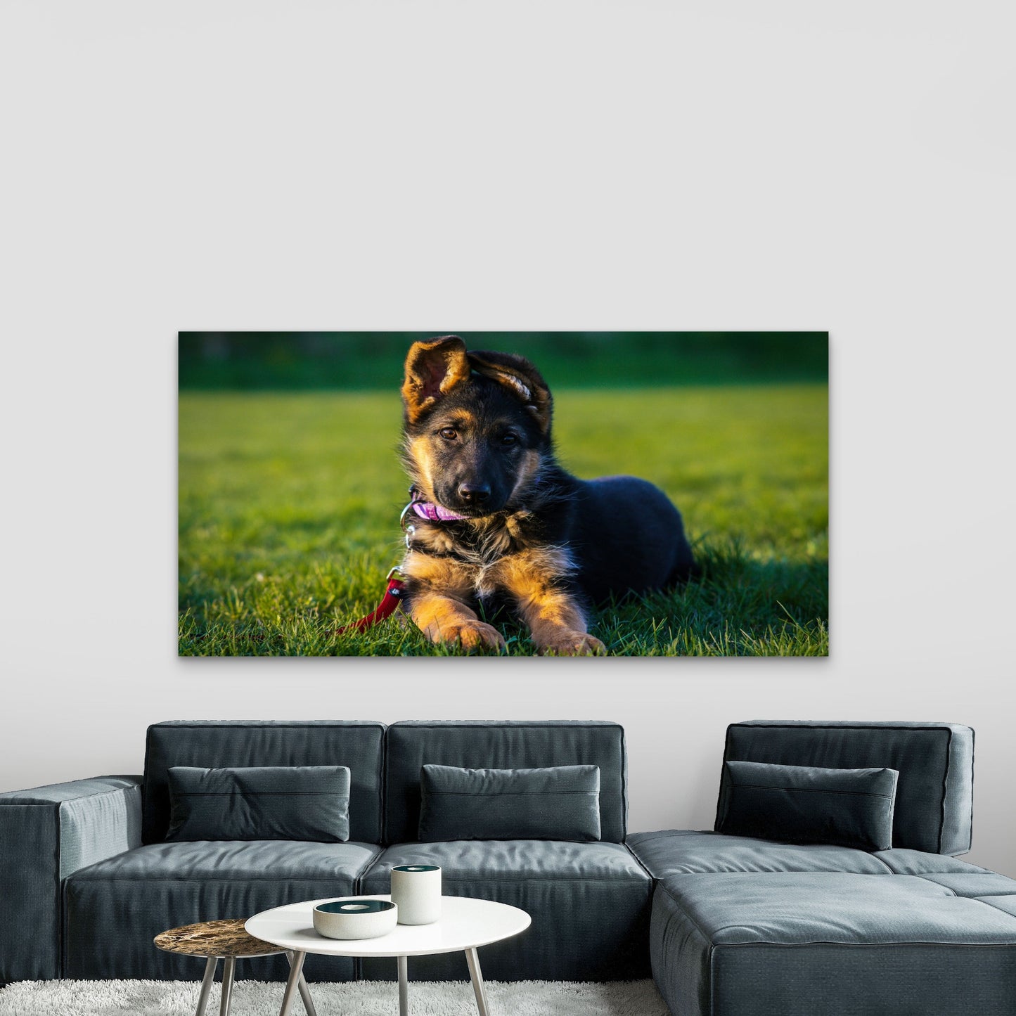 German Shepherd Puppy Dog Wall Art Canvas Office Home Room Framed 120x60cm