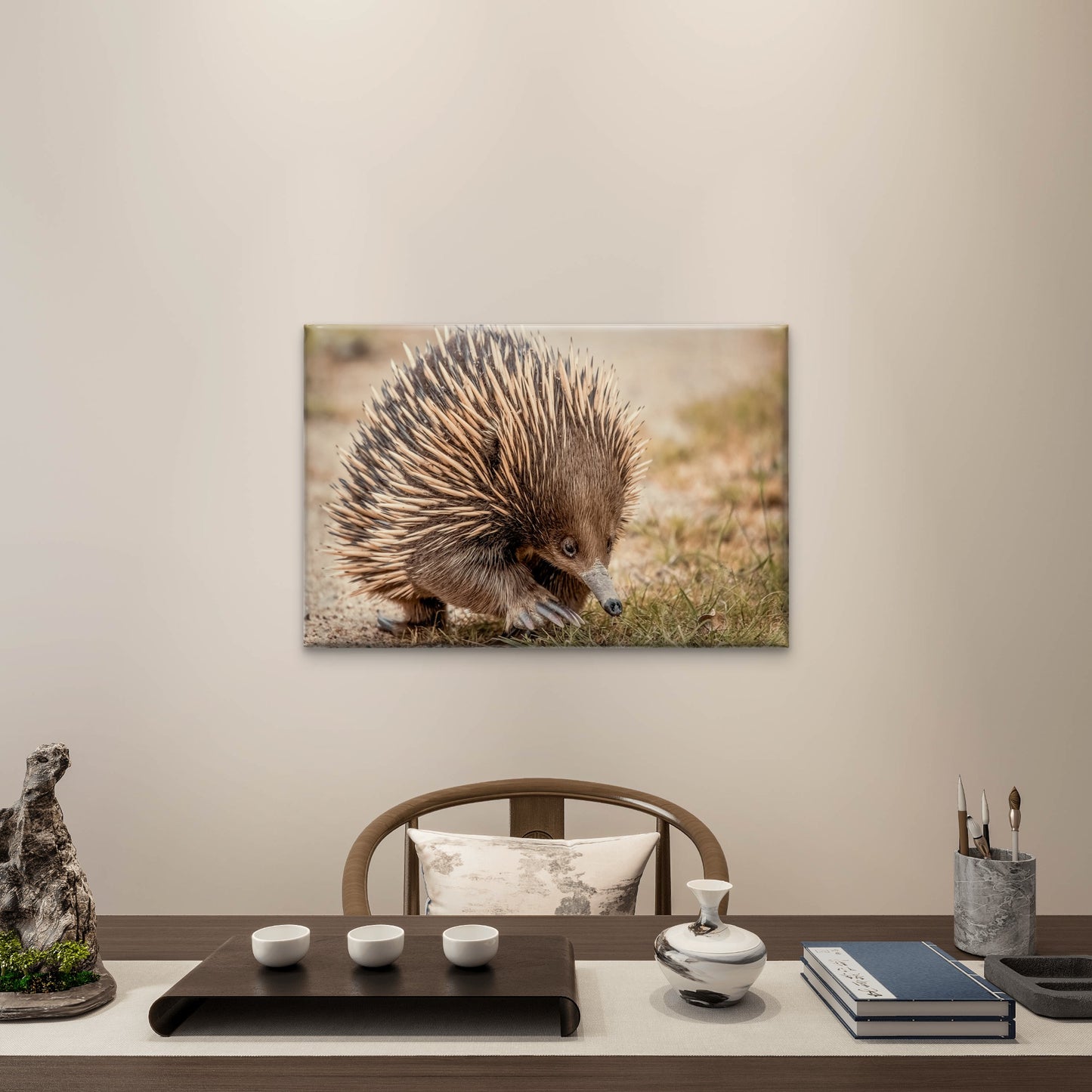 Echidna Australia Close-Up Wall Art Decor 100% Australian Made
