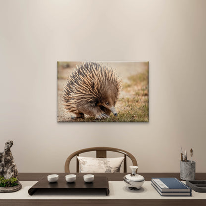 Echidna Australia Close-Up Wall Art Decor 100% Australian Made