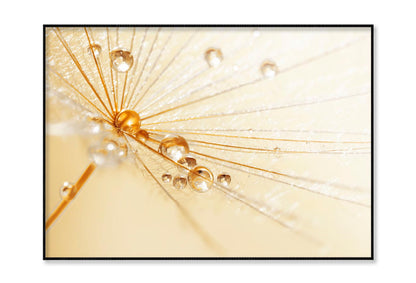 Dandelion With Water Droplets Home Decor Premium Quality Poster Print Choose Your Sizes