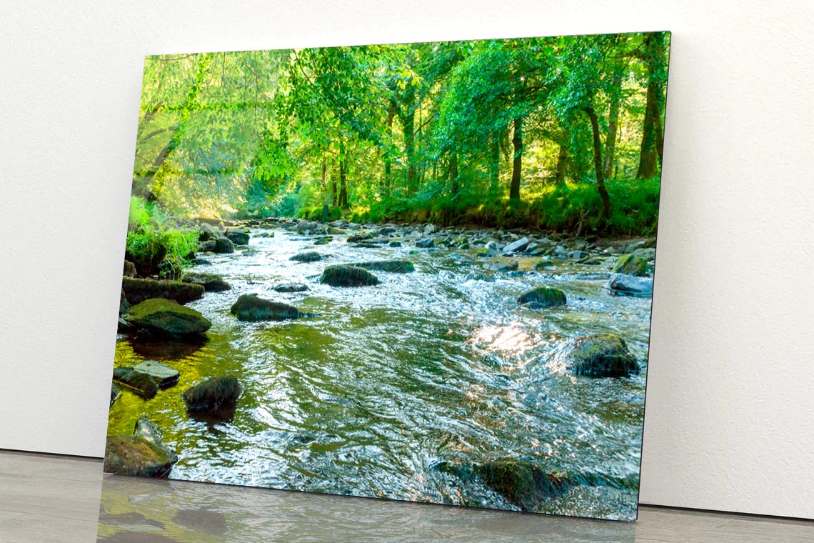 Along The River Barle in Tarr Steps Woodland Acrylic Glass Print Tempered Glass Wall Art 100% Made in Australia Ready to Hang