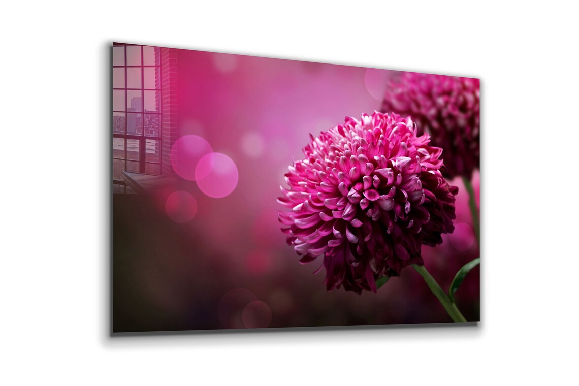 Pink Flower Closeup UV Direct Aluminum Print Australian Made Quality