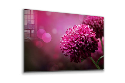 Pink Flower Closeup UV Direct Aluminum Print Australian Made Quality