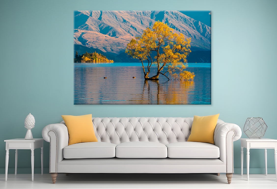Morning Grass on Water Wall Art Decor 100% Australian Made - Bella Home Decor