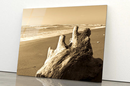 Old Log Driftwood Washed Up on Beach in Sepia Tones Acrylic Glass Print Tempered Glass Wall Art 100% Made in Australia Ready to Hang