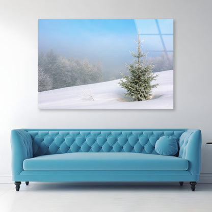 Little Fir Tree Acrylic Glass Print Tempered Glass Wall Art 100% Made in Australia Ready to Hang