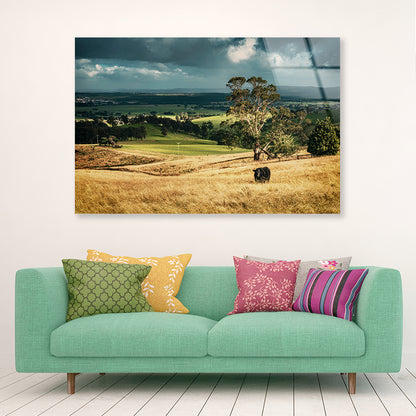 View of Grassland with Trees, Mountains & Sky Acrylic Glass Print Tempered Glass Wall Art 100% Made in Australia Ready to Hang