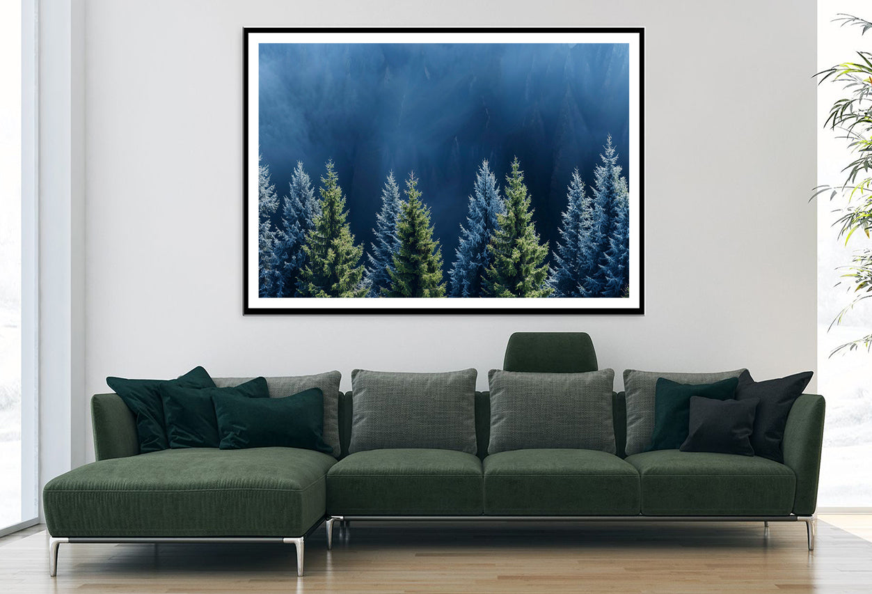 Forest Of Pine Trees Home Decor Premium Quality Poster Print Choose Your Sizes - Bella Home Decor