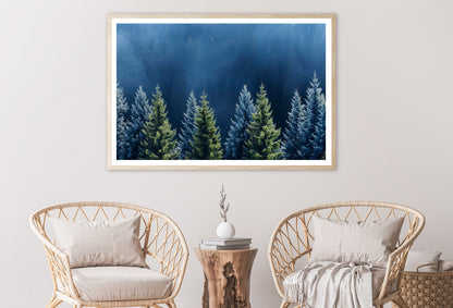 Forest Of Pine Trees Home Decor Premium Quality Poster Print Choose Your Sizes - Bella Home Decor
