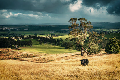 View of Grassland with Trees, Mountains & Sky Home Decor Premium Quality Poster Print Choose Your Sizes