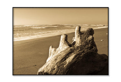 Old Log Driftwood Washed Up on Beach in Sepia Tones Home Decor Premium Quality Poster Print Choose Your Sizes - Bella Home Decor